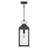 Dewayne 1 - Light Lantern Pendant