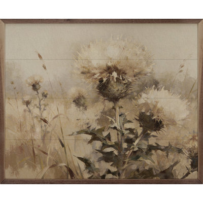 Weathered Thistles In The Meadow