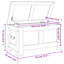 Camp Trunk / Footlocker-1304754730