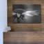 «Coneflower» par Lori Deiter-1088874812