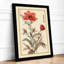 Carnation Study Botanical - Framed Print-1899488432-1899488447