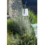 Lampe Balad-70508223-80496969
