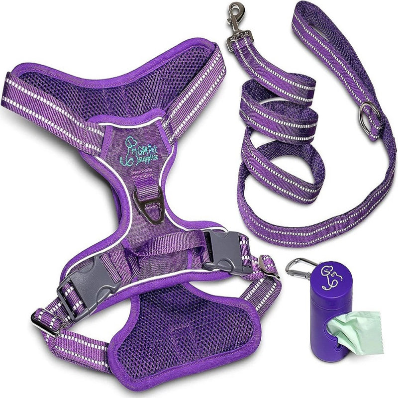 Ensemble de marche et laisse Katziela, Mauve, L 1 po x P 15 po x H 1 po