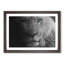 Teal Blue Eyes of a Lion in Abstract - Framed Print-55729735-55729736