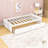 Casstown Twin Daybed with Two Drawers-1676685319