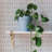Painted Dash Peel and Stick Wallpaper