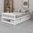 Platform Bed With Two Drawers-1028270614