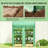 Spacious Mini Greenhouse,Portable Greenhouse-125113375