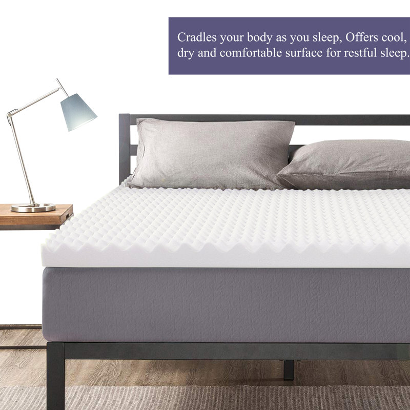Bartol Twin 1'' Gel Memory Foam Mattress Topper, Full