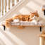 25 " H Cat Scratching Post and Removable Cat Cushion-306810399