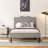 Upholstered Platform Bed