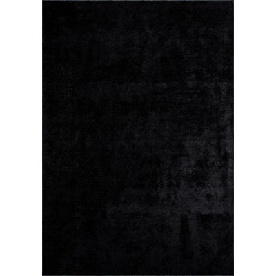 Minimalist Solid Color