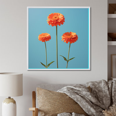 Fleurs de zinnias oranges et bleues