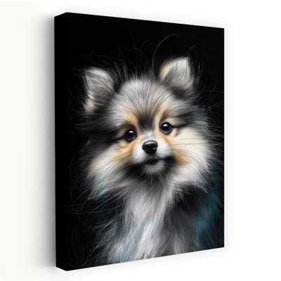 Pomeranian Dog by Justyna Jaszke - Wrapped Canvas Print