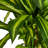 Faux Tree in Pot-1589667934
