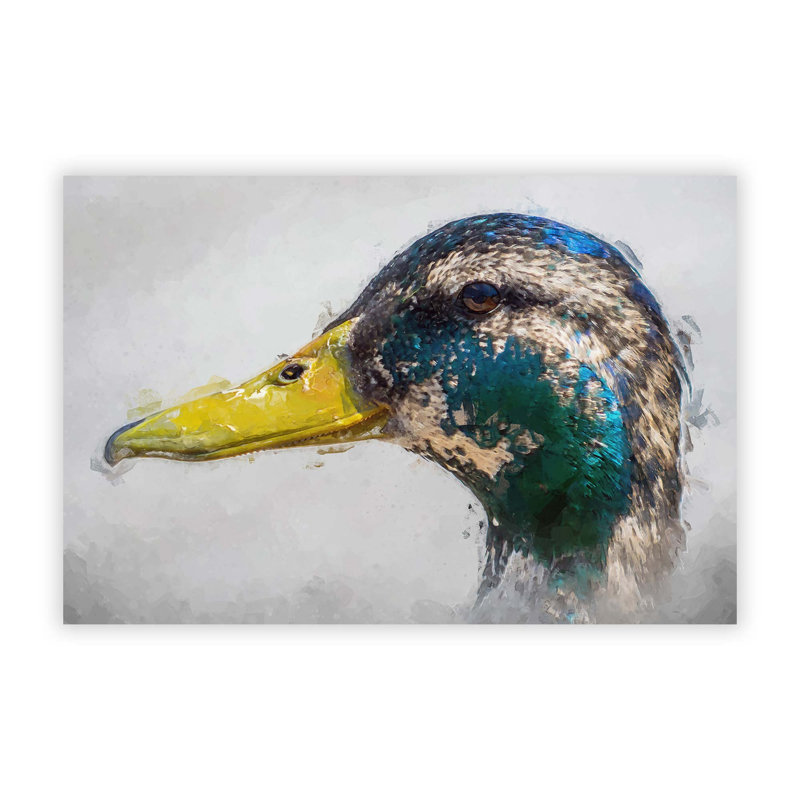 Mallard Duck Moulting - No Frame Print, 21 cm H x 29.7 cm W