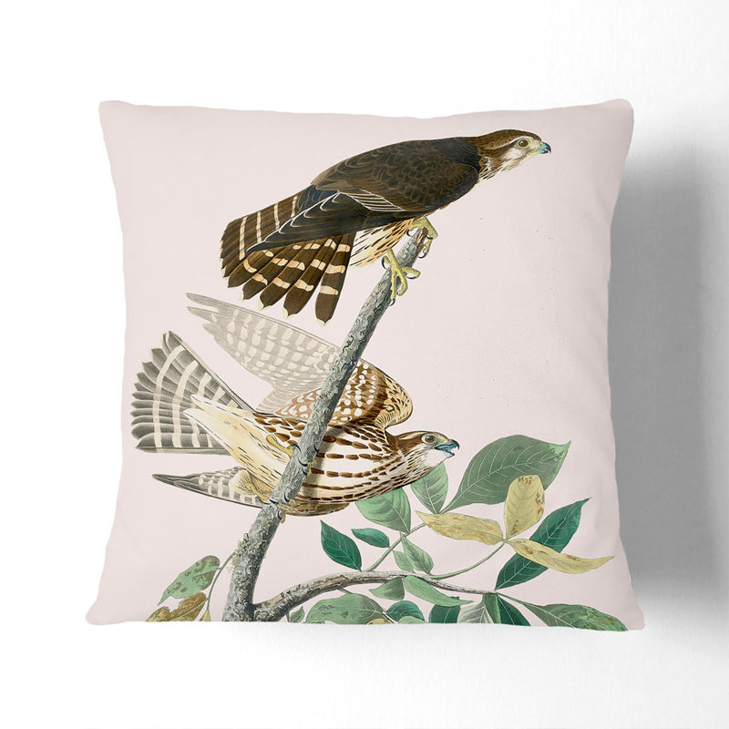 Pigeon Hawks by John James Audubon Cushion with Filling, Black, 55cm H x 55cm W x 20cm D