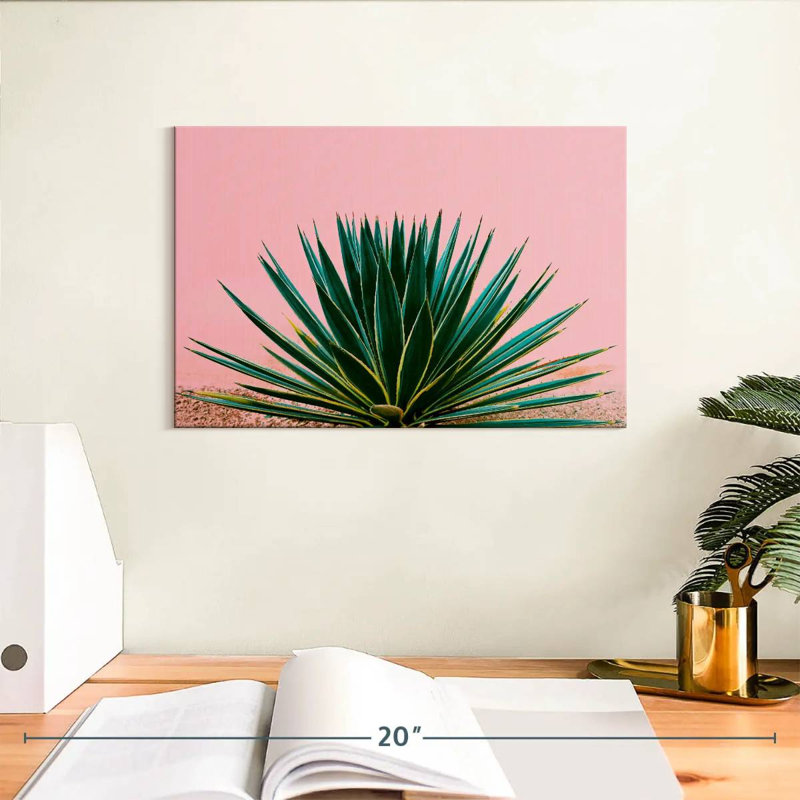 Harnek Contemporary Succulent, H 8 po x l 12 po