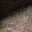 Otilia Vintage Area Rug-1770299301