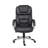 Pellegrino Executive Chair with Headrest-1769596500