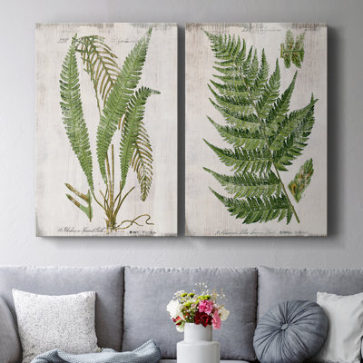 Greenhouse Fern I-Premium Gallery Wrapped Canvas -Ready to Hang