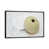 White Floater Framed