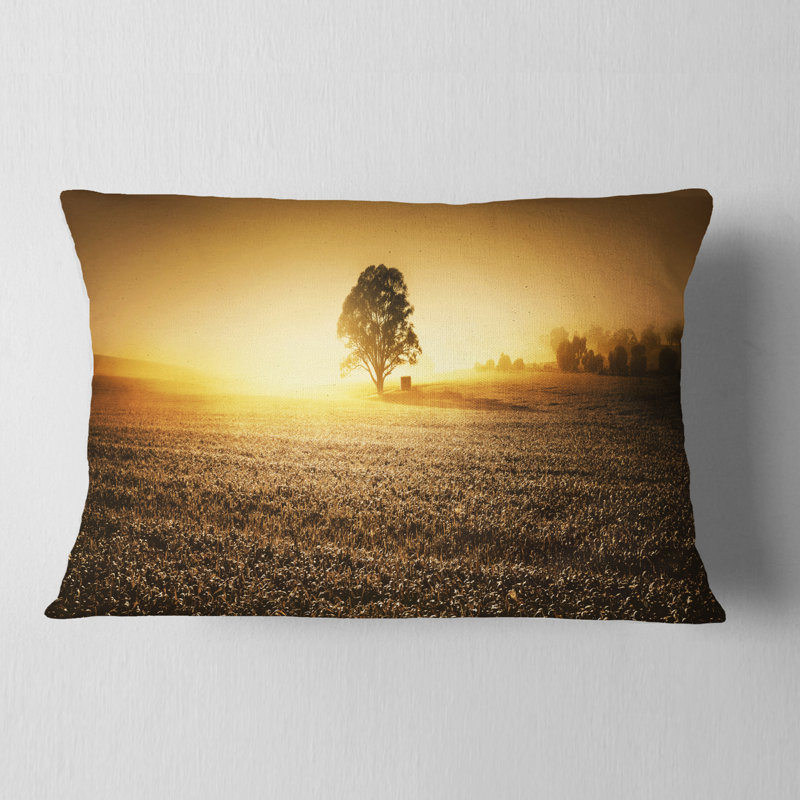 Coussin Schafer