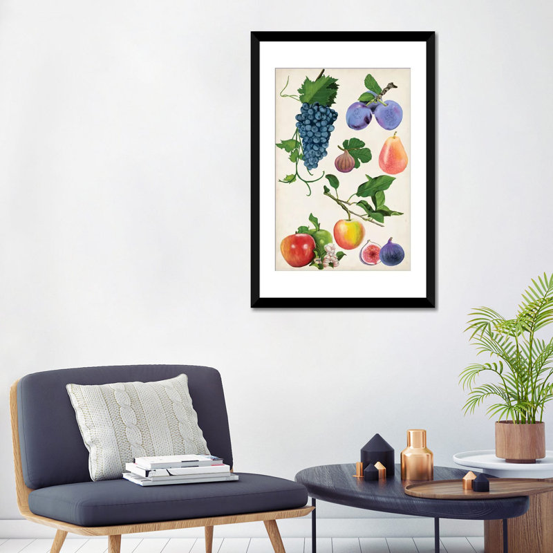 «Fruit Collection II», impression sur toile, Papier d'art encadré noir, H 24 po x l 16 po x P 1 po, Blanc