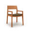 Iso Microsuede Arm Chair-61624268-61624282