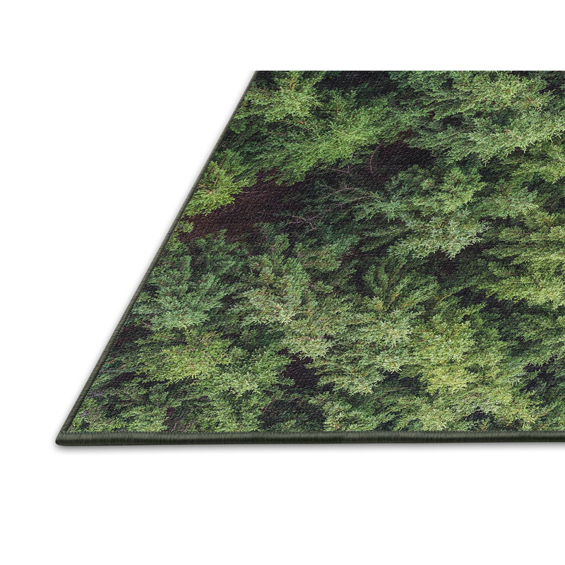 Tapis de la surface verte plante, Rectangle 2 pi x 4 pi