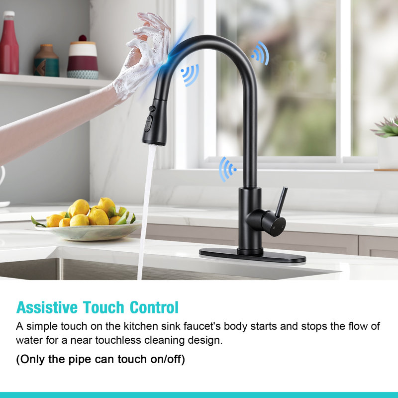 HGN Pull Down Touch Kitchen Faucet