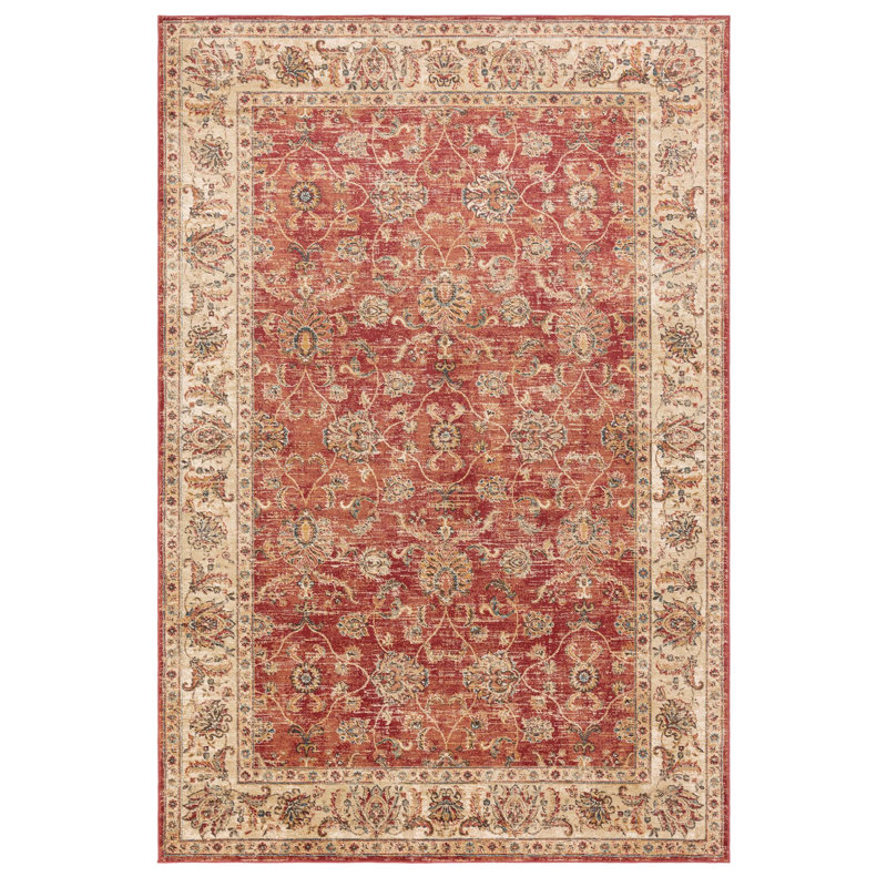 Labelle Vintage Look Area Rug, Rectangle 160 x 220cm