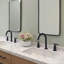 Widespread Faucet 2-Handle Bathroom Faucet With Drain Assembly-110359948