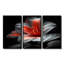 Rose et noir, rhododendron, Midnight Bloom III - ensemble d'art mural rhododendron-107196597-107196605