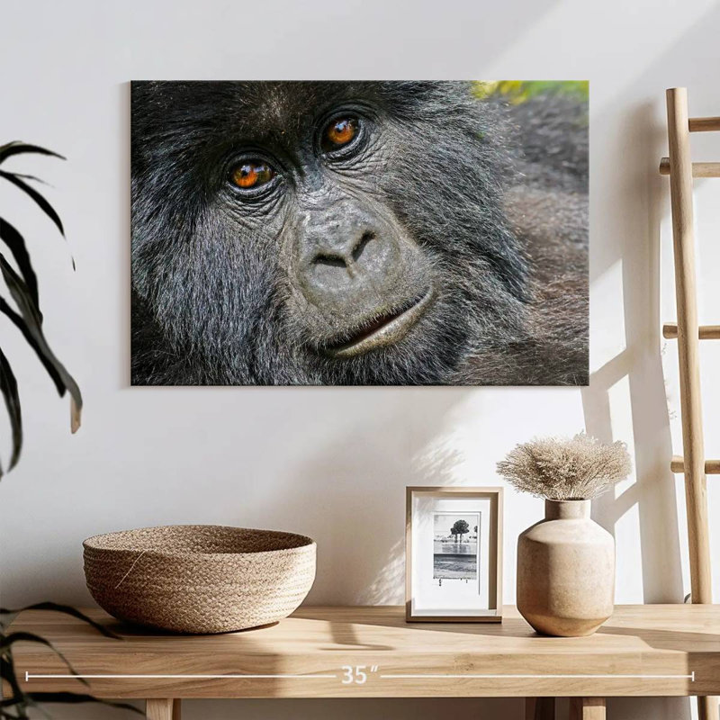 Gorilla Face, 16" H x 24" W