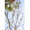 Bahar Vibe IV Print by Karyn Millet