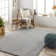 Basics by Wayfair™ Solid Shag Area Rug