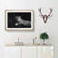 Leopard - Picture Frame Graphic Art Print-56859837-56859840
