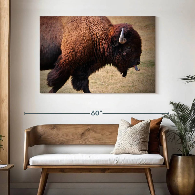 Tongue Wagging Bison, 32" H x 48" W