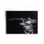 Encore Print-711883595