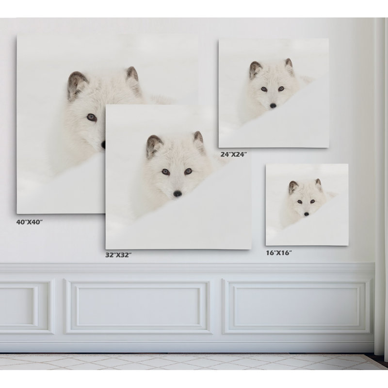 «Arctic Fox», reproduction de photo, Toile tendue, H 16 po x l 16 po x P 1,5 po
