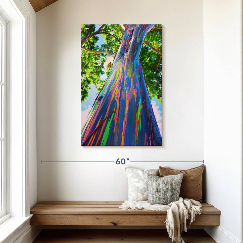 Harnek Hawaiian Rainbow Eucalyptus Tree, 45" H x 30" W