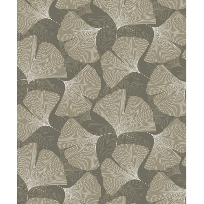 Adriannah Roll, Taupe