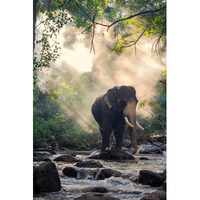 Wild Elephant In The River. Image Contains Grain And Noise - Wrapped Canvas Print