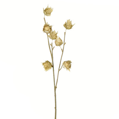 Vaporisateur d'hibiscus artificiel 24 po Benita