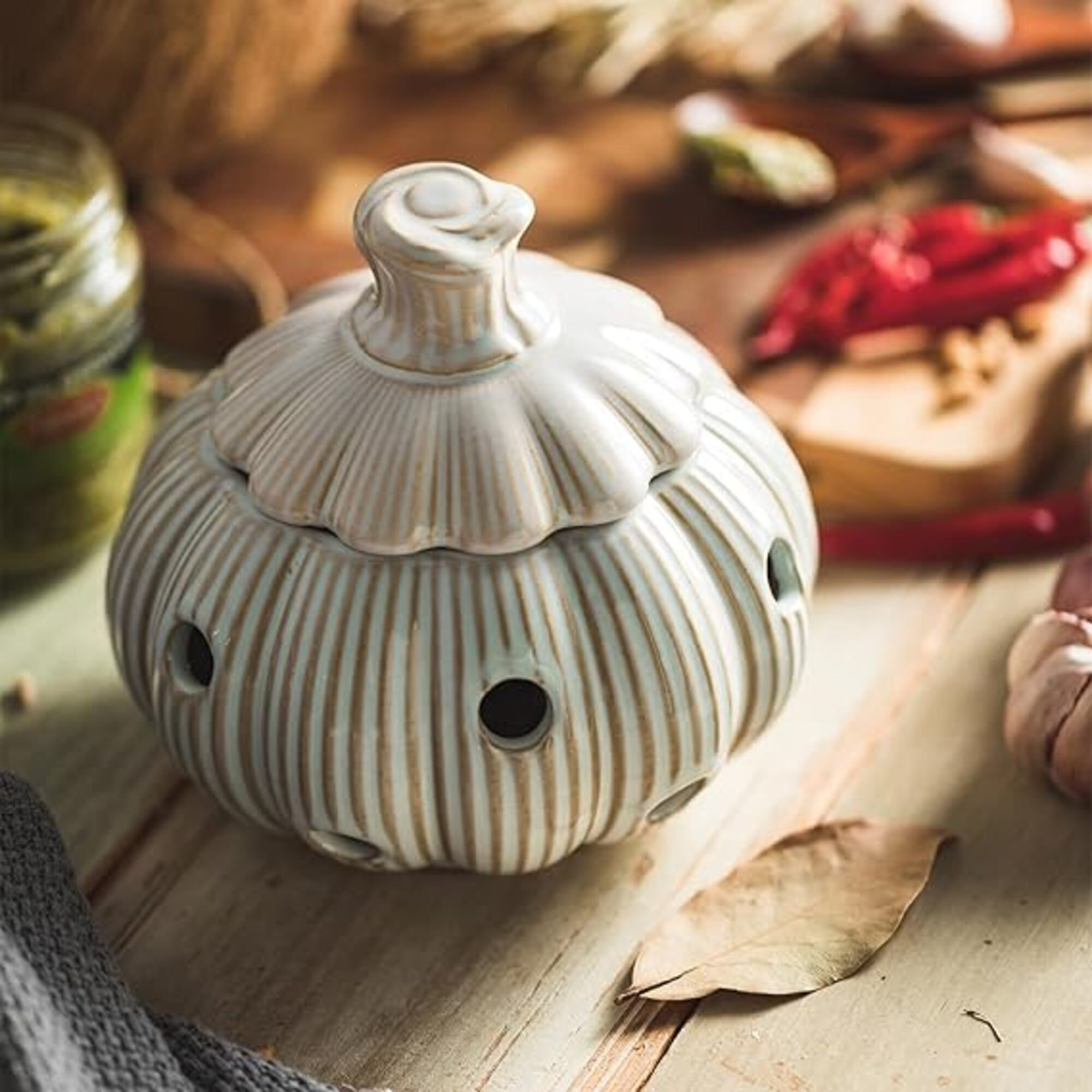 August Grove® Garlic Storage Pod Ceramic Garlic Keeper With Lid Large ...