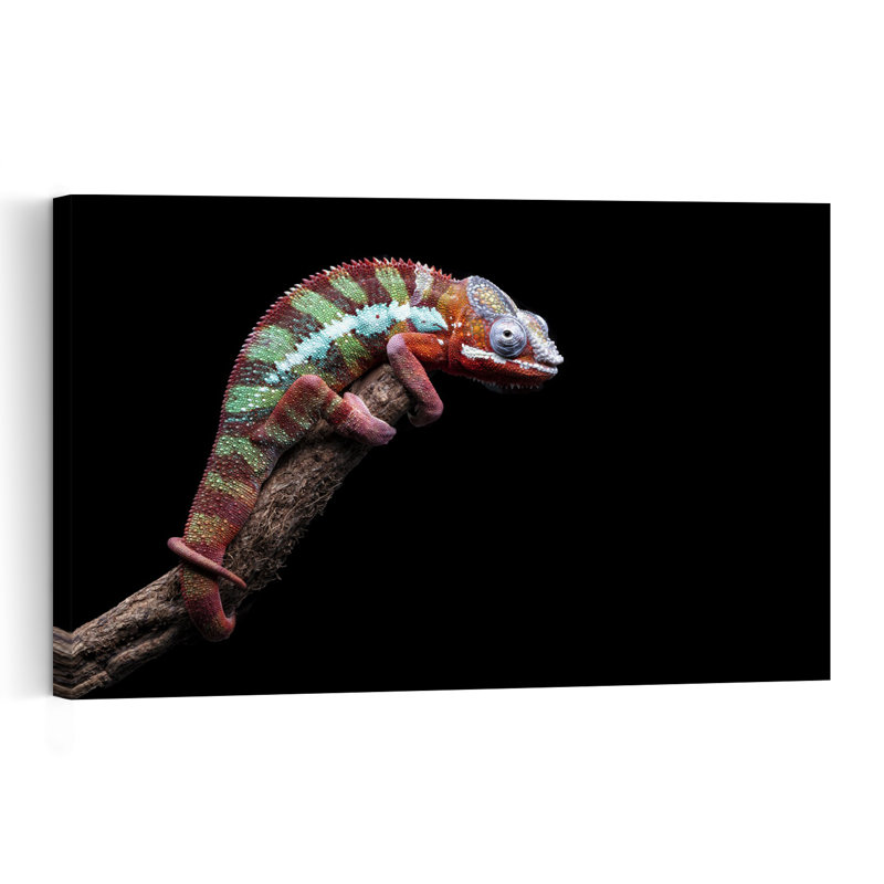 Vibrant Panther Chameleon Colorful Vibrant Animal Nature Wall Art Print 1 Piece Wrapped Canvas Wall Art
