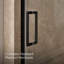 Composed 29-5/8-In30-3/8-In W X 71-1/2-In H Frameless Pivot Shower Door With 3/8-In Crystal Clear Glass And Back-To-Back Vertical Door Pulls-130591965