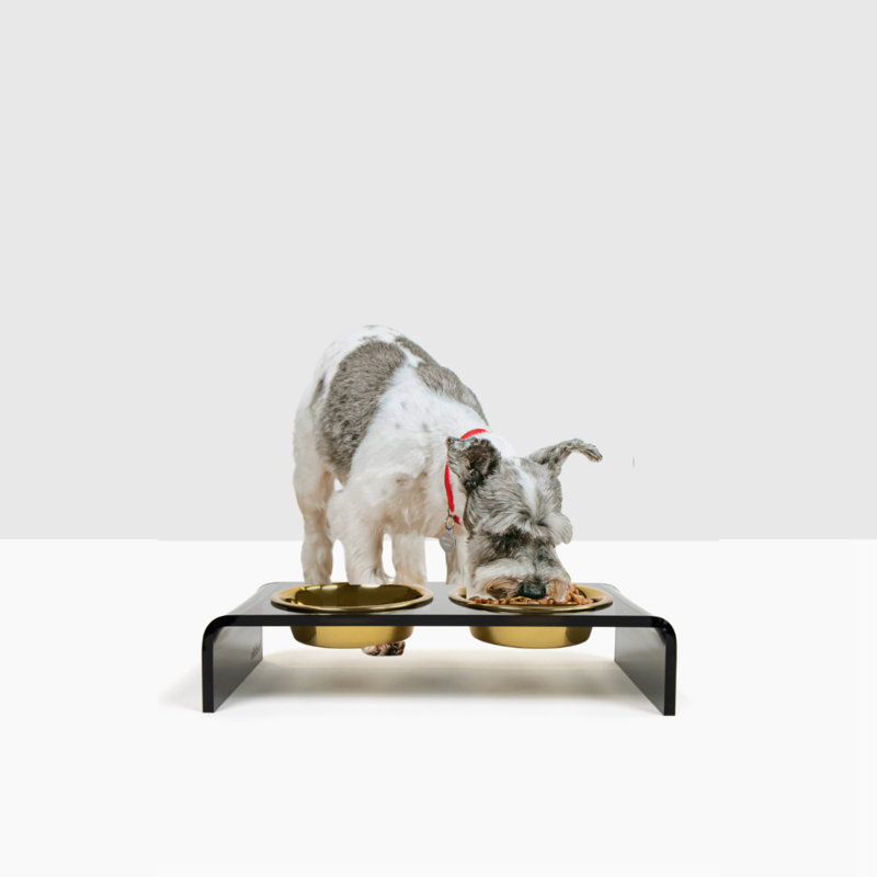Acrylic Double Bowl Elevated Pet Feeder, Gold