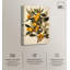 «Orange Oasis Glow» par Art Remedy-110295474-110295481